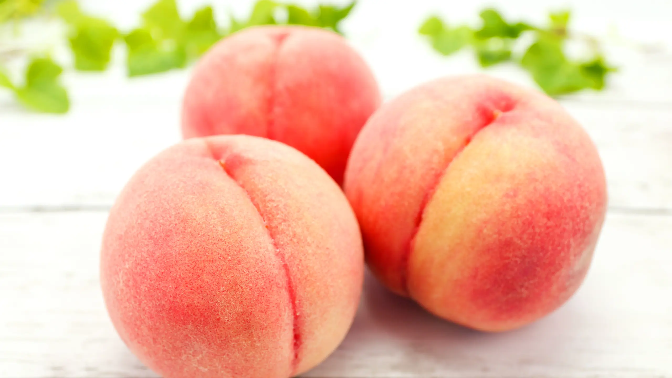 ピーチウェブ TOPページの背景画像